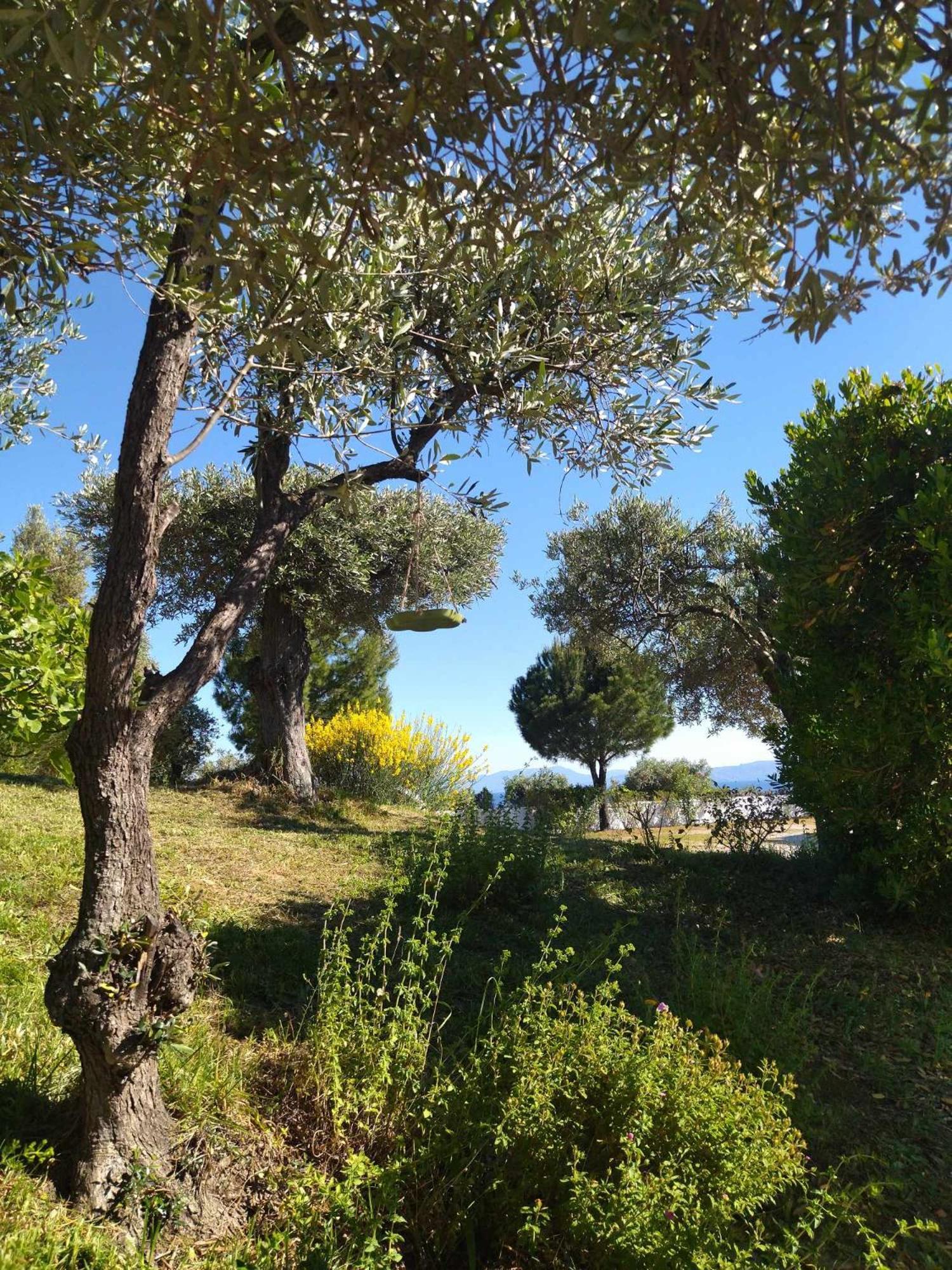 Anna Maria 2* Agia Paraskevi (Skiathos)
